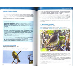 AVETIMOLOGIA. EL ORIGEN DE LOS NOMBRES DE LAS AVES DE EUROPA 3