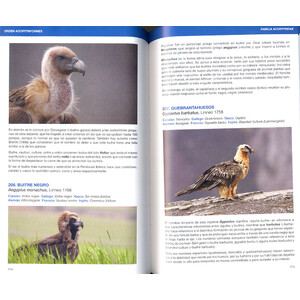 AVETIMOLOGIA. EL ORIGEN DE LOS NOMBRES DE LAS AVES DE EUROPA 4