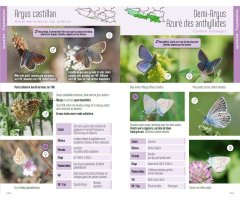 GUIDE DES PAPILLONS DE JOUR & ZYGÈNES DES PYRÉNÉES 2