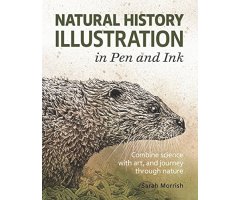 NATURAL HISTORY ILLUSTRATION IN PEN AND INK