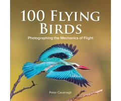 100 FLYING BIRDS. PHOTOGRAPHING THE MECHANICS OF FLIGHT