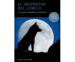 EL DESPERTAR DEL LOBO 8. UN TRIUNFO INESPERADO EN YELLOWSTONE