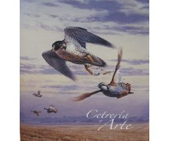 CETRERÍA Y ARTE 2