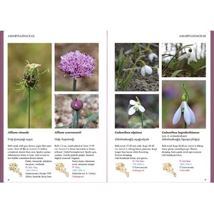 FIELD GUIDE TO THE PLANTS OF ARMENIA 3