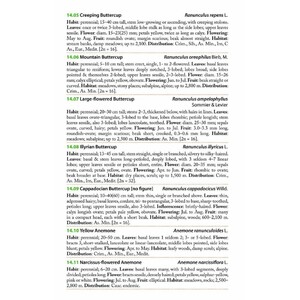 MOUNTAIN FLOWERS AND TREES OF CAUCASIA_1