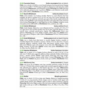 MOUNTAIN FLOWERS AND TREES OF CAUCASIA 4