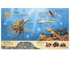 LA VIDA SECRETA DE LOS OCÉANOS 2