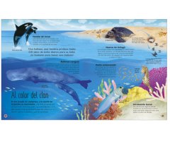 LA VIDA SECRETA DE LOS OCÉANOS 3