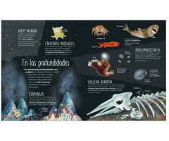 LA VIDA SECRETA DE LOS OCÉANOS 4