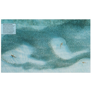 ATLAS DEL MUNDO ANIMAL. LA VIDA SALVAJE EN MAPAS 5