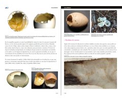 VIDA Y SEÑALES DE LOS MICROMAMÍFEROS IBÉRICOS 5