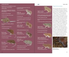 VIDA Y SEÑALES DE LOS MICROMAMÍFEROS IBÉRICOS 8