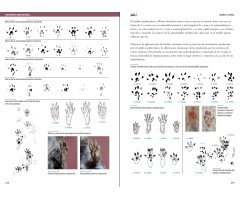 VIDA Y SEÑALES DE LOS MICROMAMÍFEROS IBÉRICOS 9