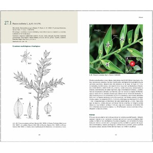 LIRIOS, NARCISOS E IRIS EN EL PAÍS VASCO Y NAVARRA. ATLAS Y GUÍA DE LAS FAMILIAS LILIACEAE, AMARYLLIDACEAE, IRIDACEAE Y SMILACACEAE_1