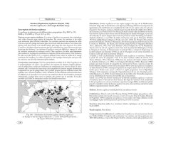 BOURDONS D\'EUROPE ET DES CONTRÉES VOISINES - HYMÉNOPTÈRES D\'EUROPE 3 6