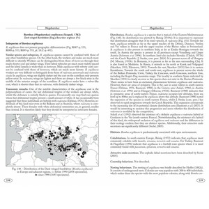BUMBLEBEES OF EUROPE AND NEIGHBOURING REGIONS - HYMENOPTERA OF EUROPE 3 6
