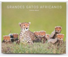 GRANDES GATOS AFRICANOS