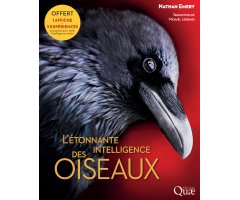 L\'ÉTONNANTE INTELLIGENCE DES OISEAUX