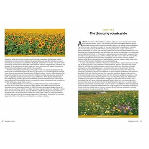 POLLINATORS IN CRISIS. HOW WE CAN ALL GIVE HIM A HELPING HAND 3