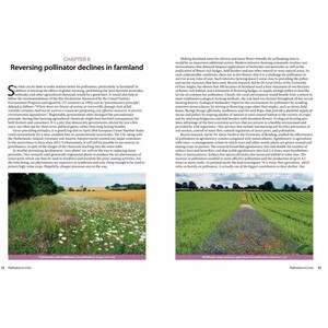 POLLINATORS IN CRISIS. HOW WE CAN ALL GIVE HIM A HELPING HAND 4