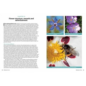 POLLINATORS IN CRISIS. HOW WE CAN ALL GIVE HIM A HELPING HAND 5