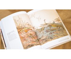 PALEONTOLOGY. AN ILLUSTRATED HISTORY 2