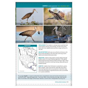 THE CORNELL LAB OF ORNITHOLOGY. REGIONAL FIELD GUIDE SERIES. ALL ABOUT BIRDS SOUTHEAST 3