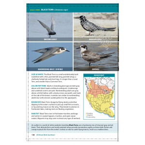 THE CORNELL LAB OF ORNITHOLOGY. REGIONAL FIELD GUIDE SERIES. ALL ABOUT BIRDS SOUTHEAST 4