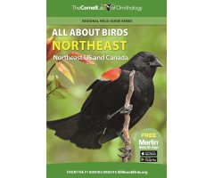 THE CORNELL LAB OF ORNITHOLOGY. REGIONAL FIELD GUIDE SERIES. ALL ABOUT BIRDS NORTHEAST: NORTHEAST US AND CANADA
