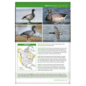 THE CORNELL LAB OF ORNITHOLOGY. REGIONAL FIELD GUIDE SERIES. ALL ABOUT BIRDS NORTHEAST: NORTHEAST US AND CANADA 3