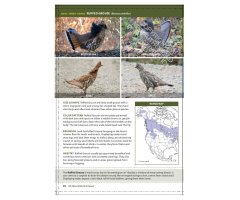THE CORNELL LAB OF ORNITHOLOGY. REGIONAL FIELD GUIDE SERIES. ALL ABOUT BIRDS NORTHWEST: NORTHWEST US AND CANADA_1
