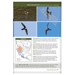 THE CORNELL LAB OF ORNITHOLOGY. REGIONAL FIELD GUIDE SERIES. ALL ABOUT BIRDS NORTHWEST: NORTHWEST US AND CANADA 3