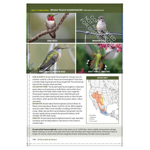 THE CORNELL LAB OF ORNITHOLOGY. REGIONAL FIELD GUIDE SERIES. ALL ABOUT BIRDS NORTHWEST: NORTHWEST US AND CANADA 4