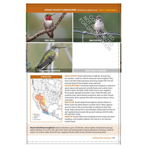 THE CORNELL LAB OF ORNITHOLOGY. REGIONAL FIELD GUIDE SERIES. ALL ABOUT BIRDS SOUTHWEST 3