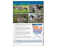 THE CORNELL LAB OF ORNITHOLOGY. REGIONAL FIELD GUIDE SERIES. ALL ABOUT BIRDS CALIFORNIA 2