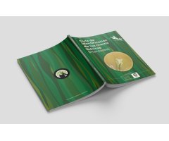 GUÍA DE IDENTIFICACIÓN DE LAS MANTIS IBÉRICAS (MANTODEA) VOL. 2 3