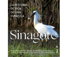 SINAGOTE, LA HISTORIA DE VIDA DE UNA ESPÁTULA