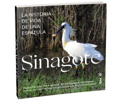 SINAGOTE, LA HISTORIA DE VIDA DE UNA ESPÁTULA 2
