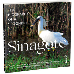 SINAGOTE. THE BIOGRAPHY OF A SPOONBILL_1