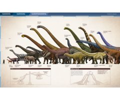 RÉCORDS Y CURIOSIDADES DE LOS DINOSAURIOS. SAURÓPODOS Y OTROS SAUROPODOMORFOS 3