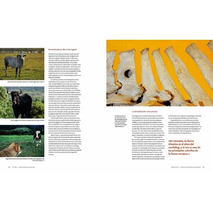 EL URO. NACIDO PARA SER SALVAJE 4