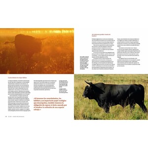 EL URO. NACIDO PARA SER SALVAJE 6