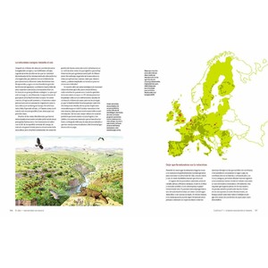 EL URO. NACIDO PARA SER SALVAJE 7