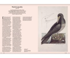LAS AVES. LA EDAD DE ORO DE LA ILUSTRACIÓN DE LAS AVES 4