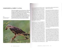 EL COMPORTAMIENTO DE LAS AVES. CÓMO INTERPRETAR LO QUE HACEN Y POR QUÉ 5