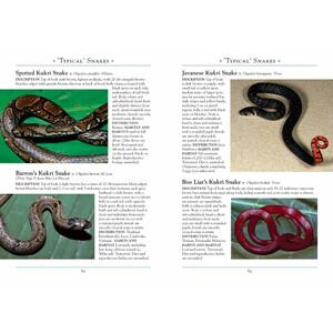A NATURALIST'S GUIDE TO THE SNAKES OF SOUTHEAST ASIA 3º EDITION 3
