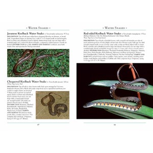 A NATURALIST'S GUIDE TO THE SNAKES OF SOUTHEAST ASIA 3º EDITION 4