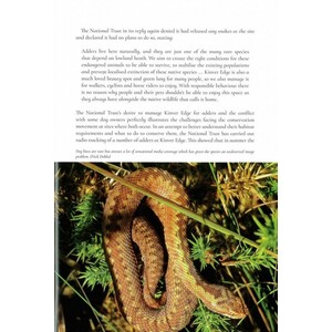 THE SECRET LIFE OF THE ADDER. THE VANISHING VIPER_1