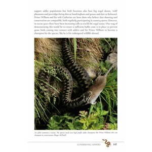 THE SECRET LIFE OF THE ADDER. THE VANISHING VIPER 3