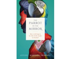 THE PARROT IN THE MIRROR: HOW EVOLVING TO BE LIKE BIRDS MADE US HUMAN